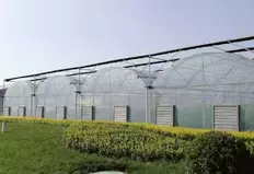 बढ़ती सब्जियों के लिए मिनी पॉलीटनल ग्रीनहाउस