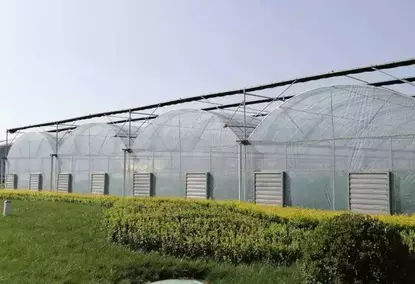 बढ़ती सब्जियों के लिए मिनी पॉलीटनल ग्रीनहाउस