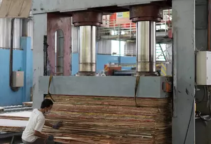 प्लाईवुड के लिए कोल्ड प्रेस